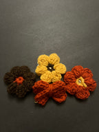 Fall Girly Clip Set
